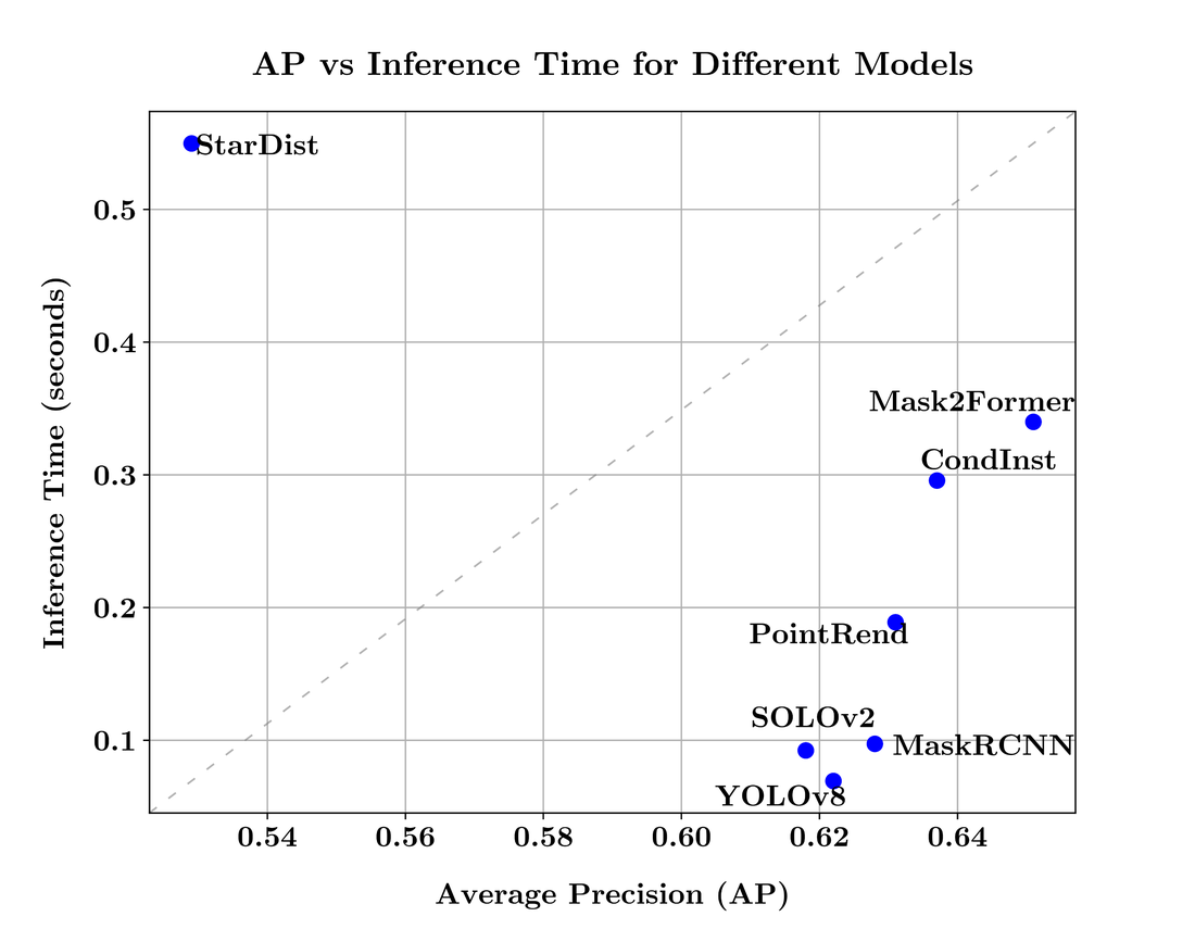 Chart: average precision against inference time for each model. Mask2Former is the most accurate, YOLOv8 the fastest and StarDist the slowest